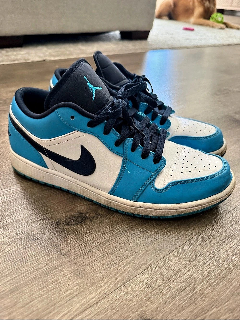 Jordan Air Jordan 1 Low Men's Blue & White US 10.5